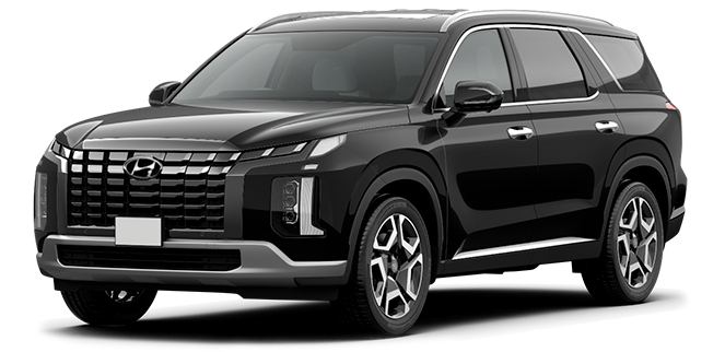 Баннер hyundai Palisade