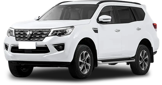 Баннер oting Paladin