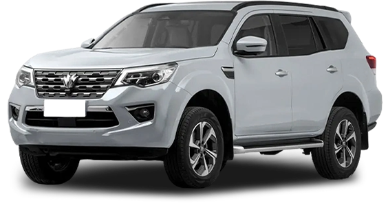 Баннер oting Paladin