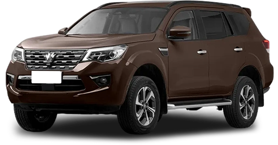 Баннер oting Paladin