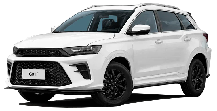 Баннер swm G01F